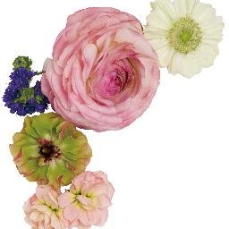 mimisumire07's profile picture. RT多いです。今年は語学をがんばるぞ！