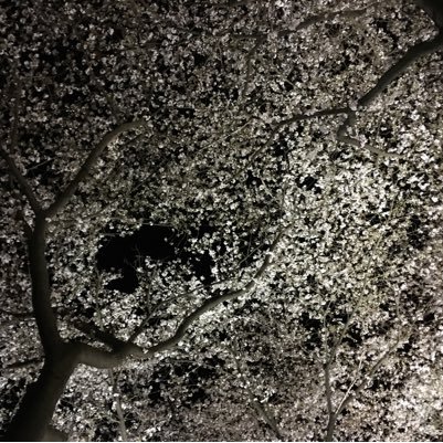 hong363's profile picture. 진보성향의 평범한 직장인 꼼수/ 미권스/ 바른언론/ 검찰개혁/ 정의/ 장물 원상복구/ 인과응보