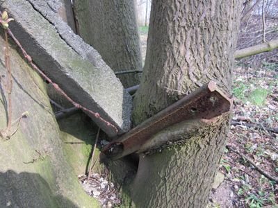 EAtersen's profile picture. Drifting through the Ocean of Life. Wandering in the Desert of Twitter.