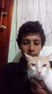 allanai_rmz's profile picture. mex psicopedagogo estudiante de la vida