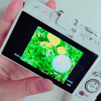 OLYMPUS 気分で撮るよ 人をよく撮りますﾊﾟｼｬｯ! Σp[【◎】]ω･´) 写真好きな人フォローよろしくお願いします！！ LIVEを撮影します。