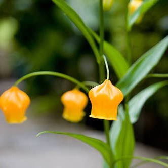 sonya_nya28's profile picture. あまりつぶやかないけど、気になったら勝手にフォローしてます、成人済