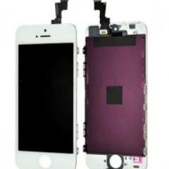 BryantXie0824's profile picture. 