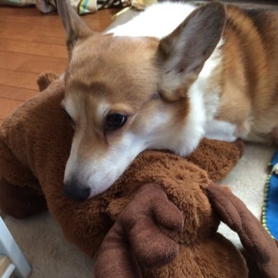 privileges184's profile picture. 早稲田高校➡︎早稲田大学法学部3年/東京花火引退しました/民法 平野ゼミ/17関学スタッフ/緑法会 おとゼミ/WILC 気軽にフォロー、リムーブどうぞ フォロバは本人が分かる人のみ