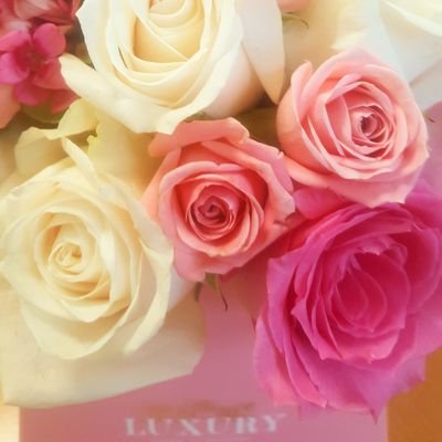 norahissa's profile picture. ‏‏‏من السهل أن تجد اصدقاء يجلسون معك ومن الصعب أن تجد اصدقاء يقفون معك