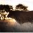 Meatco_Namibia's profile image