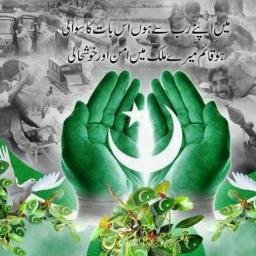 Patriotic Pakistani, Bot Pro Max 😋