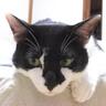 annoyoshitaka's profile picture. ときどき映画を見る