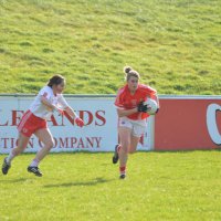 Emma Ní Scoloíge (@emmafarmer1) 's Twitter Profile