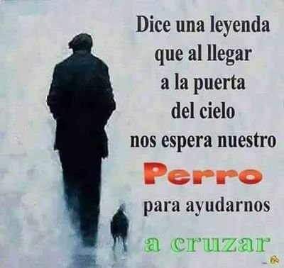 AmorPlanas's profile picture. 