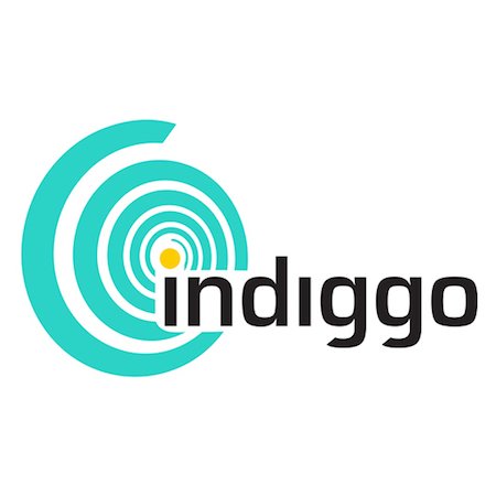 Indiggo is an Al-driven solution to take companies from Leadership Waste to Return On Leadership® by changing the way leaders work.