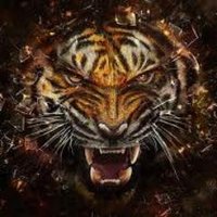bharath prasad (@prasad07prasad) 's Twitter Profile