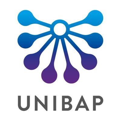 Unibap is a place where super talents meet on a global arena, taking intelligent automation and vision perception further.