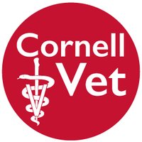 Cornell University College of Veterinary Medicine(@cornellvet) 's Twitter Profile Photo