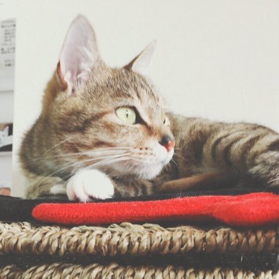 fps_0417's profile picture. 気軽にフォローしてください!