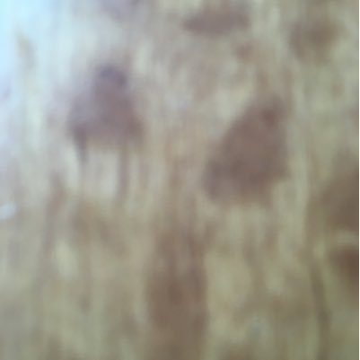 ralph_14's profile picture. 