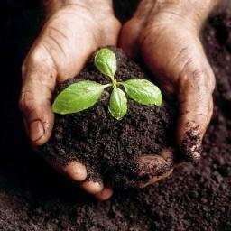 EcoAbonic's profile picture. Fabricamos y distribuimos abono ecológico de alta calidad, apostando por la sostenibilidad y el compromiso social #Ecosonrisa