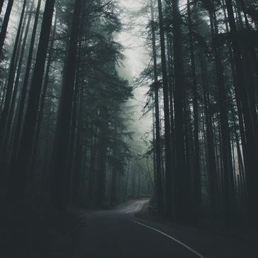 fksrpg's profile picture. inscription : on | prit en fav.