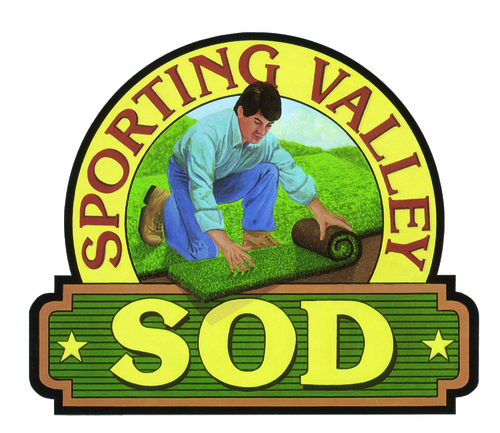 Sporting Valley Turf
