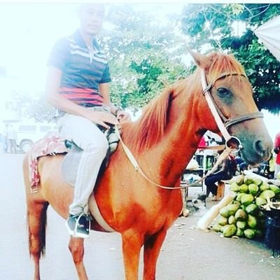 ChristianAlpho5's profile picture. Never say never