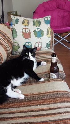 jongallup's profile picture. Developing the web with a rough-sawn approach to code since '08. A bit old fashioned, but still cutting edge. Runs on beer and loves his wife and two cats.
