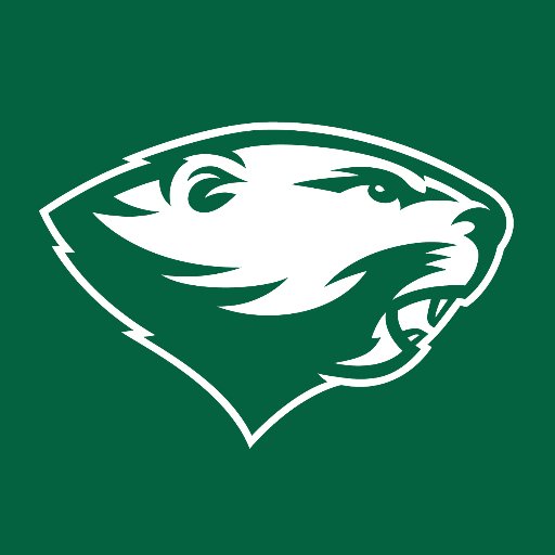 BabsonAthletics Profile Picture