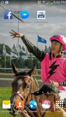 Msfitzracing's profile picture. Thoroughbred owner, breeder and trainer at Woodbine racetrack