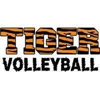 rhs_vb's profile picture. Ridgefield boys and girls volleyball