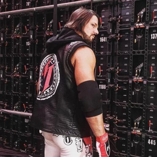 AJ Styles. Seth Rollins and Cesaro die-hard fan!