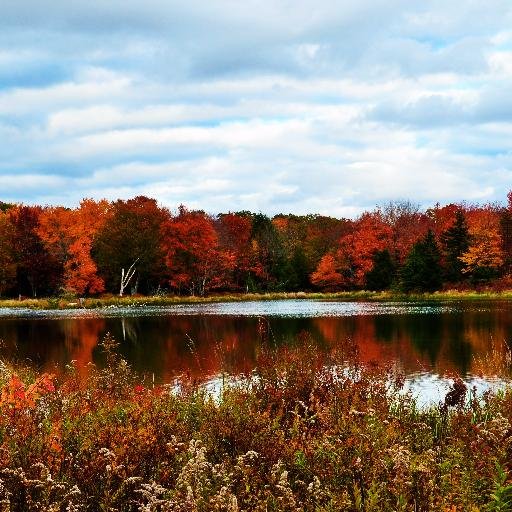 PoconoHomeMkt's profile picture. Dynamic Team of Pocono Real Estate Professionals who use Modern Technology to put Pocono Real Estate on Another Plateau!