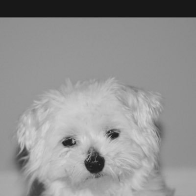 taylorarden's profile picture. Wife ,mother ,phlebotomist, hairstylist, navy veteran, high school basketball official