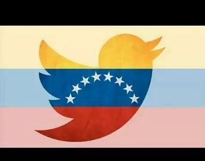 neida_vianney's profile picture. 