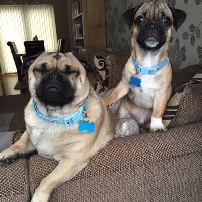 craigblakeway's profile picture.