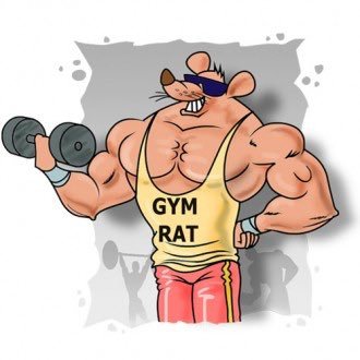 Gym Rats to Begin September 12th