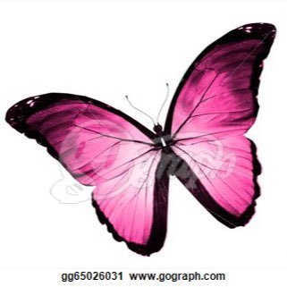 aponismesger's profile picture. Aponis message butterfly