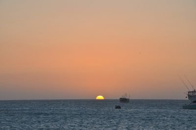 alfsaezc's profile picture. 