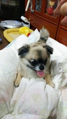 ninnin1118's profile picture. 