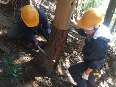 森づくりの会は #東京農工大学 の林業サークルです! #山 遊びをしたり、 #植物 に詳しくなったり、本格的に #林業 作業をしたり…学年学科問わず興味のある方どなたでも歓迎します🌳 このアカウントでは活動内容や新歓に関する情報をお届けしていきます！DMはお気軽に🌲
#春から農工大
#森づくりの会