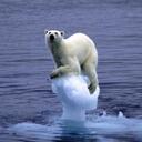 albert alonso - @albert_alonso - Twitter