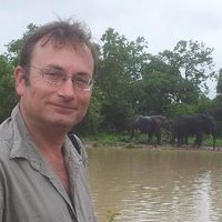 Knut Rauchfuss (@knutrauchfuss) 's Twitter Profile Photo Knut Rauchfuss (@knutrauchfuss) 's Twitter Profile Photo
