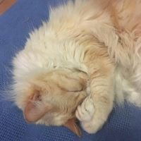 taeryn's profile picture. 