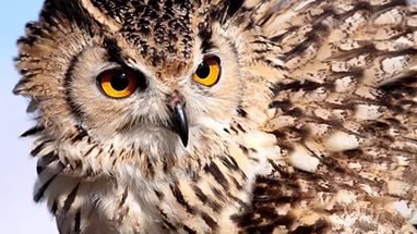 jessilocc's profile picture. юридическая консультация