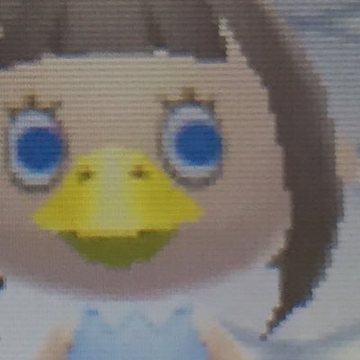 Shannon Arnoldさんのプロフィール画像