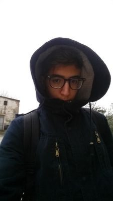 PietroAmo's profile picture. 