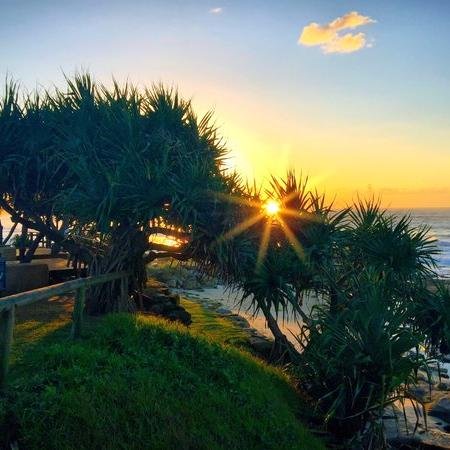 trixie334352's profile picture. 