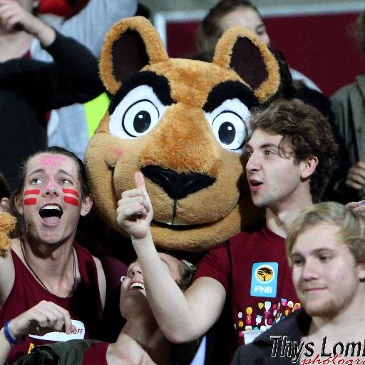 I'm #Pokkel, official mascot of @MatiesRugby. Follow me for updates, prizes & surprise visits GO MATIES! Need tickets? Visit https://t.co/e7U7wWMntN