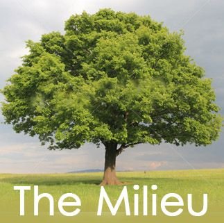 TABDLINE's profile picture. A Follower, Servant, Equipper, Husband, Father, Nation Builder, Problem Solver & Businessman.