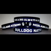 RHS Baseball (@rhsdogsbaseball) 's Twitter Profile Photo