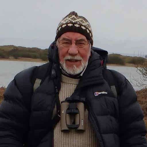 Peter J Morgan Profile