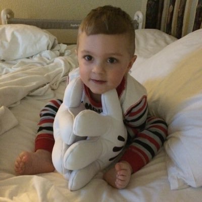 edemeester's profile picture. 